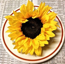 Wall Street Sunflower
